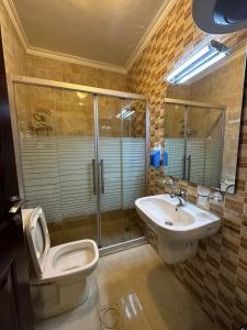 a bathroom with a toilet and a sink and a shower at al-burj apart 7th circle in Amman