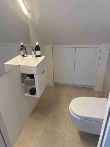 een witte badkamer met een toilet en een wastafel bij Großzügiges Loft mit Klimaanlage und Dachterrasse in Wenen