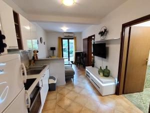 een keuken en een woonkamer met een wastafel en een fornuis bij Apartments Zezelj in Sveti Stefan