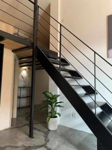 a staircase in a room with a potted plant at My exclusive cavour loft da sogno a cagliari in Cagliari