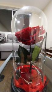 拉巴斯的住宿－Skyline Suites-Aventura de lujo，一张桌子上装有玫瑰的玻璃瓶