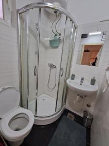 Ένα μπάνιο στο Belgrade Downtown Homestay