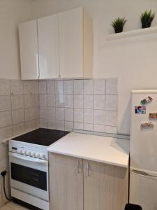 Η κουζίνα ή μικρή κουζίνα στο Belgrade Downtown Homestay