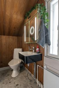 a bathroom with a sink and a toilet at Mäkkylän Helmi in Helsinki