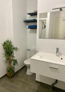 a bathroom with a sink and a toilet and a mirror at « La Bicyclette » 35m2 tout équipé centre ville in Mayenne