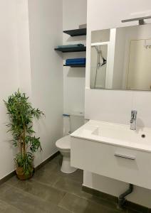 La salle de bains est pourvue d'un lavabo, de toilettes et d'un miroir. dans l'établissement « La Bicyclette » 35m2 tout équipé centre ville, à Mayenne