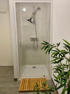 La salle de bains est pourvue d'une cabine de douche et d'une plante. dans l'établissement « La Bicyclette » 35m2 tout équipé centre ville, à Mayenne
