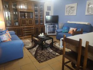ein Wohnzimmer mit blauen Sofas und einem Fernseher in der Unterkunft Casal de Perros in A Coruña