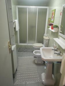 ein Badezimmer mit Dusche, Toilette und Waschbecken in der Unterkunft Casal de Perros in A Coruña + 17 Fotos
