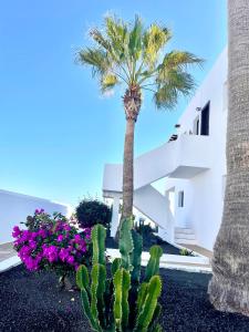 Zahrada ubytování Casa de Los Soles + 16 fotografií