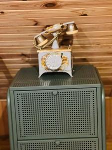 a radio with a light on top of it at Domek Serce Lasu in Hutki