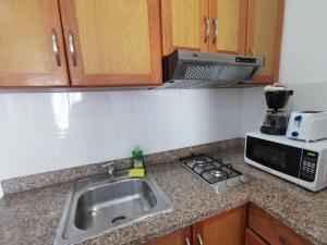Cuisine ou kitchenette dans l'établissement Apartment 1bdr Caribe