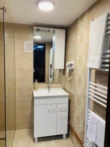 a bathroom with a white sink and a shower at Casa Lazar in Topliţa