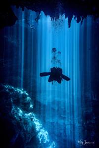 a diver swimming in the water in an aquarium at Treehouse Tulum H2Ojos in Tulum