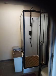a bathroom with a shower with a trash can and a toilet at Charmant T1 privé avec vue et accès piscine in Basse-Goulaine