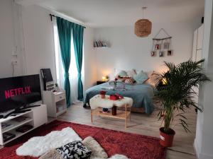 a bedroom with a bed and a tv in it at Romantic Cocon Home in Mulhouse in Mulhouse