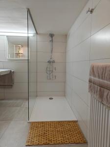 a shower with a glass door in a bathroom at Goldbergsee-Apartment in Coburg