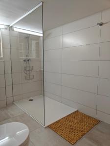 a shower with a glass door in a bathroom at Goldbergsee-Apartment in Coburg