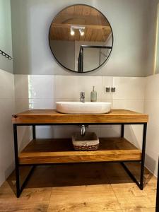 a bathroom with a sink and a mirror at Amalka Wita in Sulęczyno