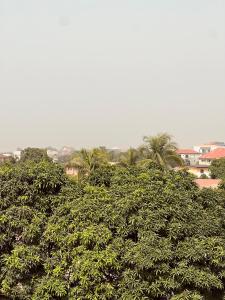 科納克里的住宿－De Paris à Conakry NONGO，一组树,有建筑背景
