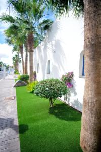 een groen gazon met palmbomen en bloemen naast een gebouw bij KATIS Villas Boutique Fuerteventura in Corralejo