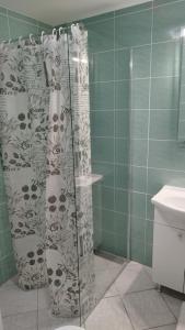 a bathroom with a shower curtain and a sink at Apartma B & O in Idrija