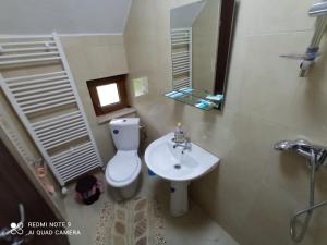 La salle de bains est pourvue de toilettes, d'un lavabo et d'un miroir. dans l'établissement Pensiunea Valea Toplitei, à Roşia