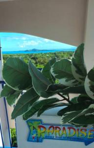 Fotografie z fotogalerie ubytování Private Penthouse Paradise v destinaci Ceiba