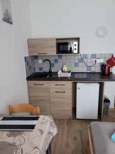 Kuchyň nebo kuchyňský kout v ubytování Apartmány 009
