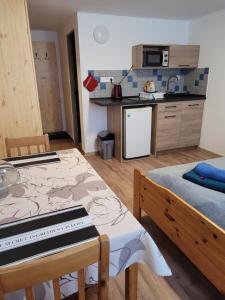 Kuchyň nebo kuchyňský kout v ubytování Apartmány 009