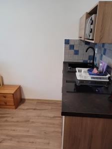Kuchyň nebo kuchyňský kout v ubytování Apartmány 009