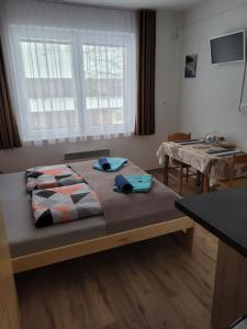 1 dormitorio con cama, mesa y ventana en Apartmány 009, en Borová Lada