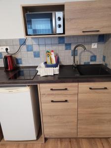 Kuchyň nebo kuchyňský kout v ubytování Apartmány 009