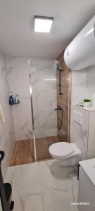 een witte badkamer met een douche en een toilet bij Art Home in Boergas