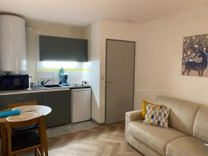 uma sala de estar com um sofá e uma cozinha em Studio Le Mont Beas em Aulus-les-Bains