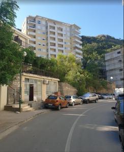 a row of cars parked on the side of a street at Belveder Montenegro in Rafailovici