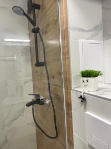 een douche met een douchekop en een plant op een plank bij Art Home in Boergas