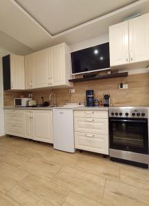 Kuchyň nebo kuchyňský kout v ubytování Varázskuckó Apartman + 16 fotografií