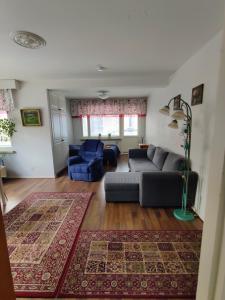 sala de estar con sofá y alfombra en City Home Lahti, en Lahti