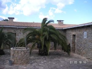 dos palmeras delante de un edificio en Casa Rural en pleno paraje natural La Chirala en Enguera