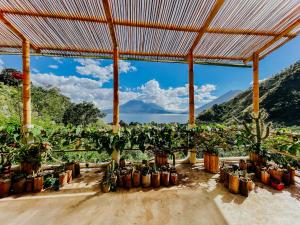 un grupo de plantas en macetas sentadas bajo un pabellón en Designers Luxury Retreat with breathtaking gardens, en Tzununá
