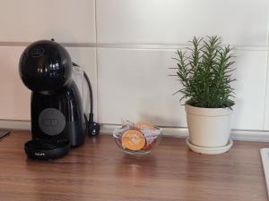 encimera de cocina con cafetera y maceta en Ático - Piscina Málaga centro, en Málaga