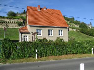 a house with an orange roof on the side of a road at Ferienhaus und Straußwirtschaft im Weinberg in Freyburg