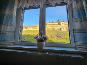 um vaso de flores sentado no peitoril da janela em Ferienhaus und Straußwirtschaft im Weinberg em Freyburg