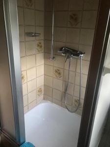 a shower in a bathroom with a tub at Haus Imgard in Lenzkirch