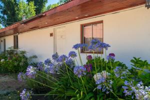 a house with purple flowers in front of it at Hotel Linares in Linares