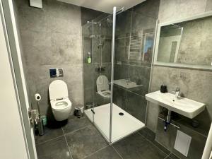 La salle de bains est pourvue d'une douche, de toilettes et d'un lavabo. dans l'établissement Apartmány Rezidence Lyžařská, à Janské Lázně