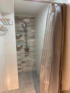 eine Dusche im Bad mit Duschvorhang in der Unterkunft Enna House 1 in Athen