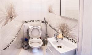 a bathroom with a toilet and a sink at Apartments WHITE HOUSE in Lviv +19 photos
