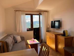 a living room with a couch and a television at Appartements Wilma in Schladming